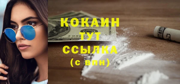 СК Бронницы