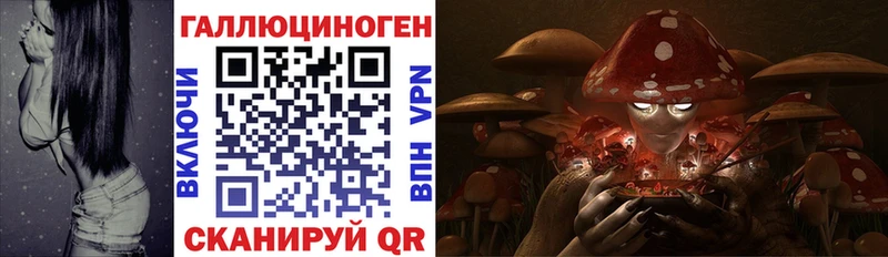 МЕГА   Будённовск  Псилоцибиновые грибы Cubensis 